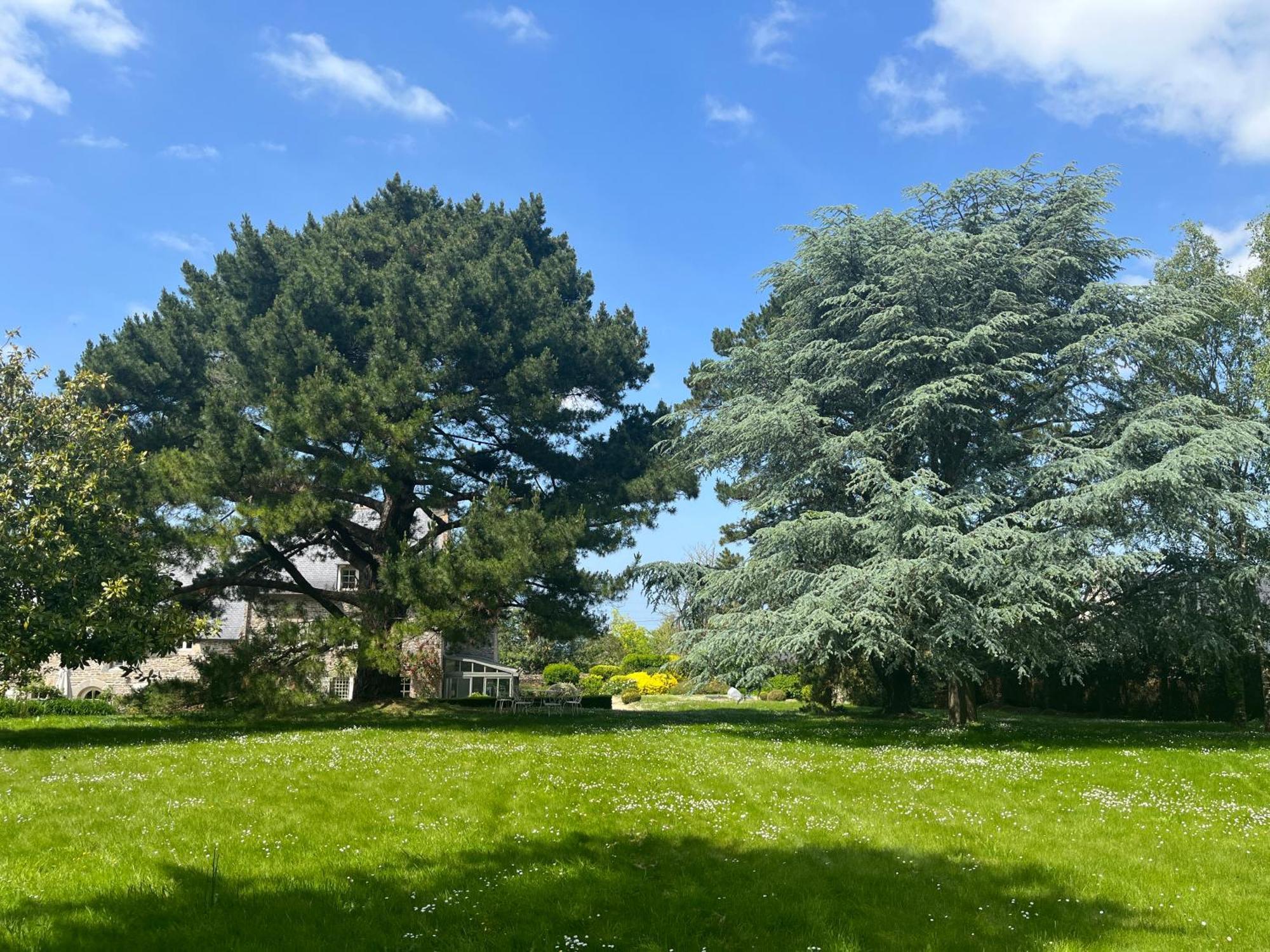 Manoir Des Bords De Rance Bed & Breakfast Plouer-sur-Rance Luaran gambar