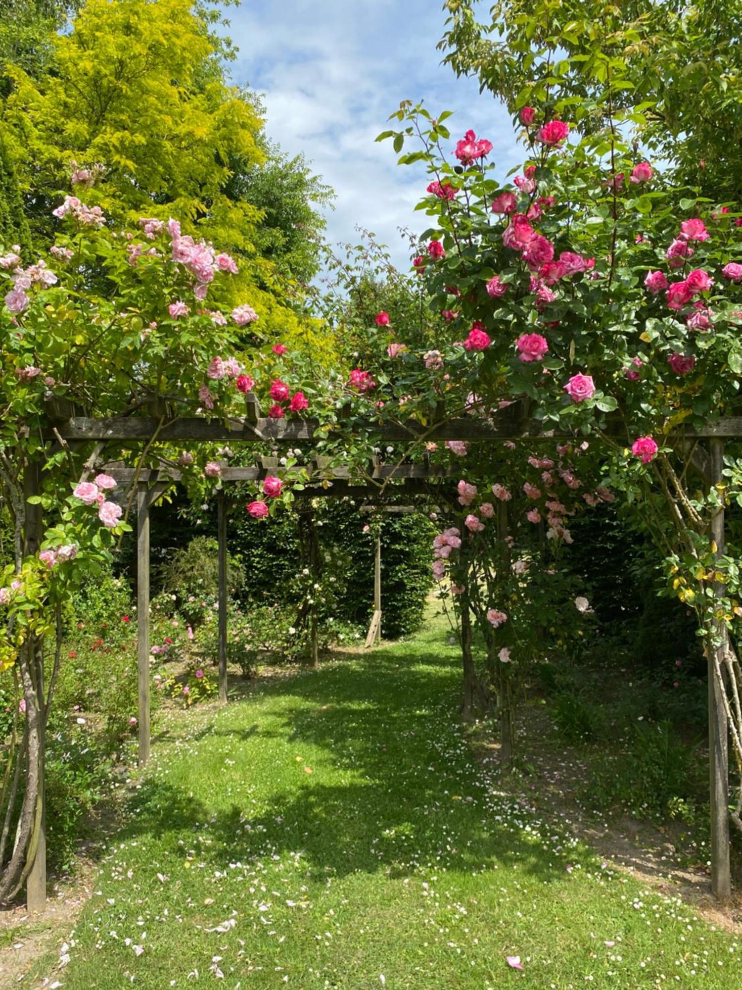 Manoir Des Bords De Rance Bed & Breakfast Plouer-sur-Rance Luaran gambar